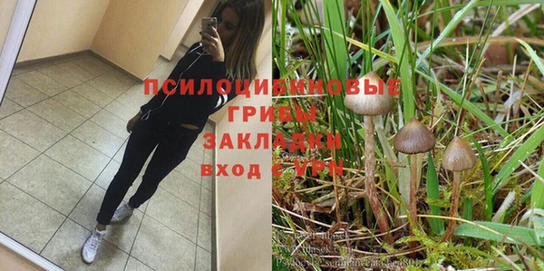 сатива Богородск